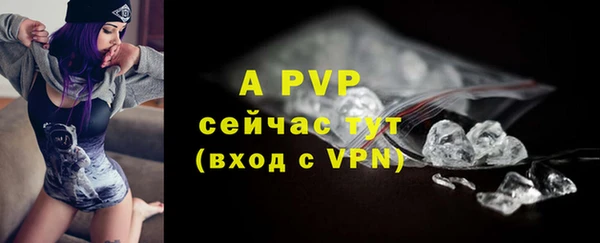 прущие крисы Новозыбков