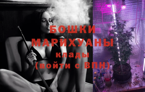 прущие крисы Новозыбков