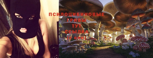 мяу мяу кристалл Новодвинск