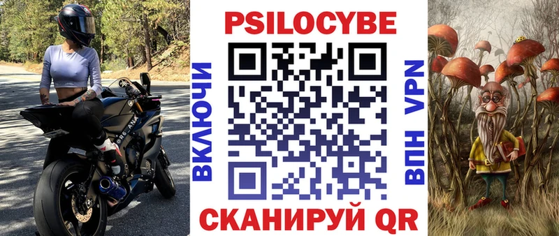 где продают наркотики  Новозыбков  mega ONION  Галлюциногенные грибы Psilocybe 