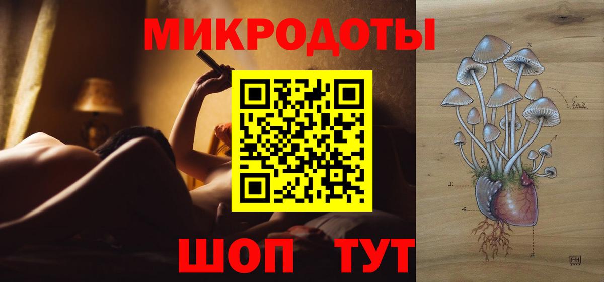 закладка  Псилоцибиновые грибы ЛСД  Новозыбков  Вход с VPN  Галлюциногенные грибы Psilocybe 