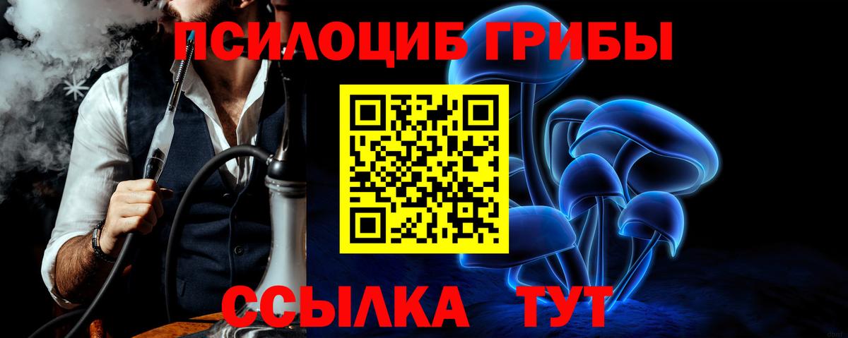 Псилоцибиновые грибы MAGIC MUSHROOMS  Галлюциногенные грибы ЛСД  наркота  Новозыбков 