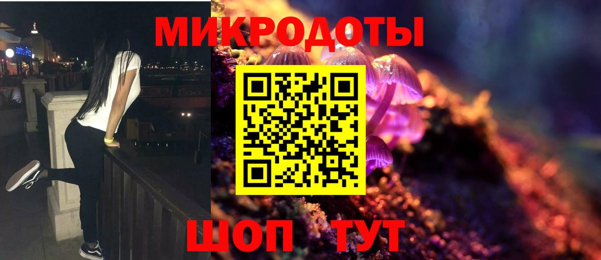 Галлюциногенные грибы Psilocybine cubensis Новозыбков