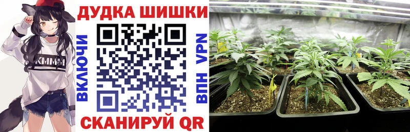 Шишки марихуана ГИДРОПОН  купить наркотики цена  Новозыбков 
