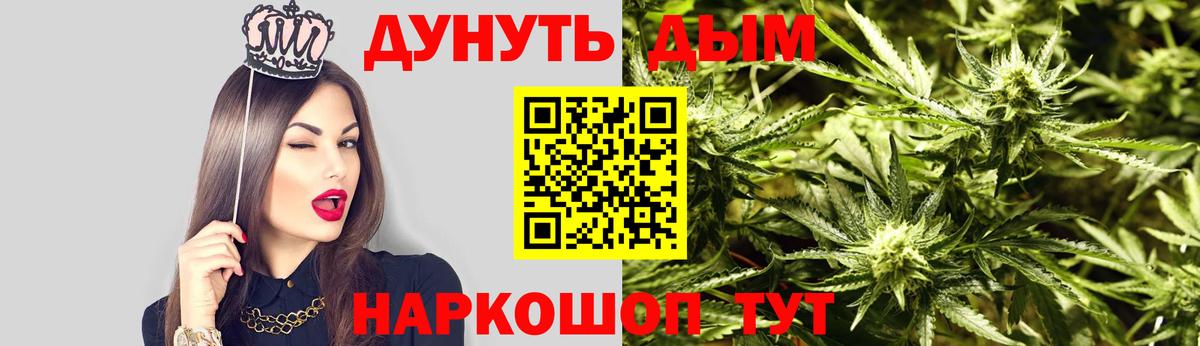 Новозыбков  Конопля гибрид  Бошки марихуана сатива  Вход с VPN  Марихуана SATIVA & INDICA  Бошки марихуана THC 21% 